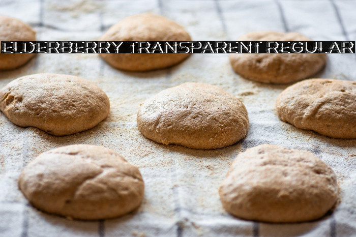 Elderberry Transparent Regular Example 2
