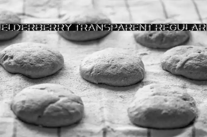 Elderberry Transparent Regular फ़ॉन्ट examples