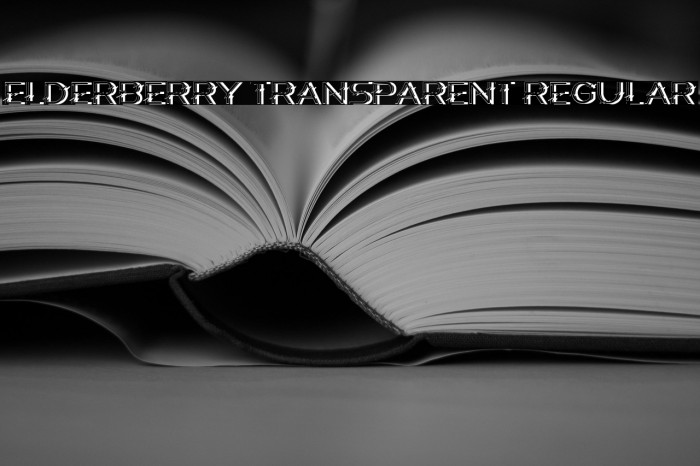 Elderberry Transparent Regular Example 3
