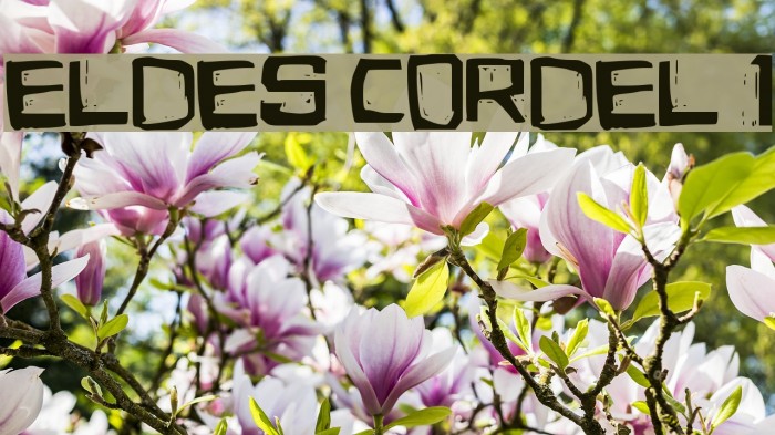 Eldes Cordel 1 Example 1