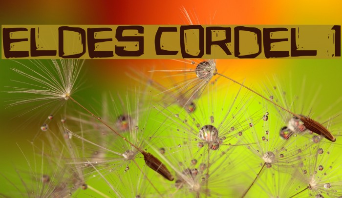 Eldes Cordel 1 Example 3