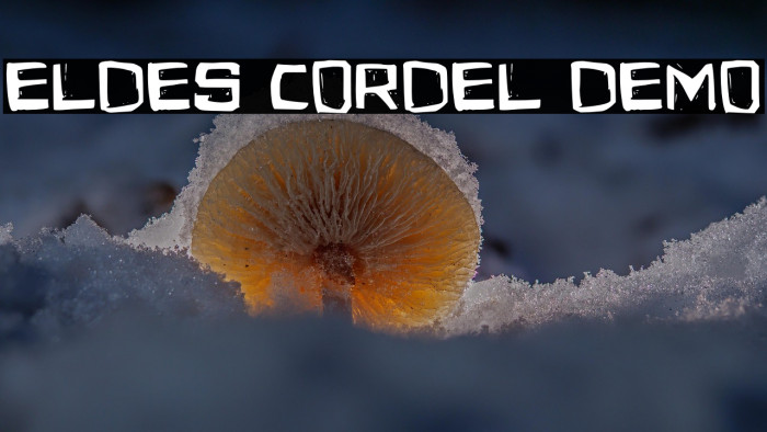 Eldes Cordel Demo Example 3