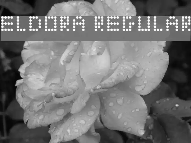 Eldora Regular Polices examples