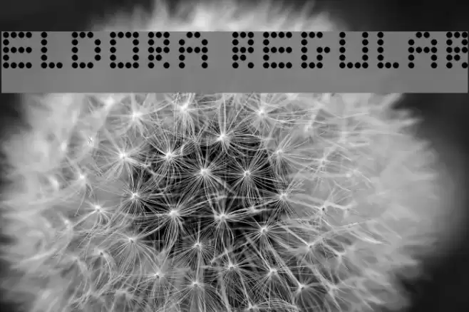 Eldora Regular Polices examples