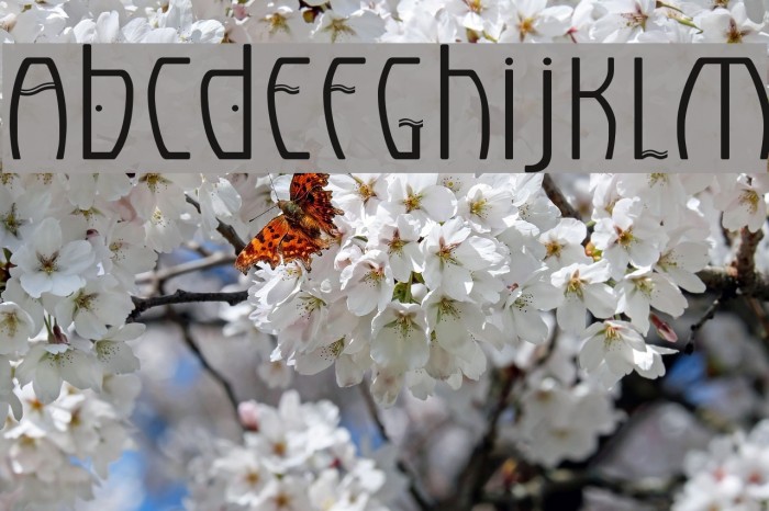 Eldora Font examples