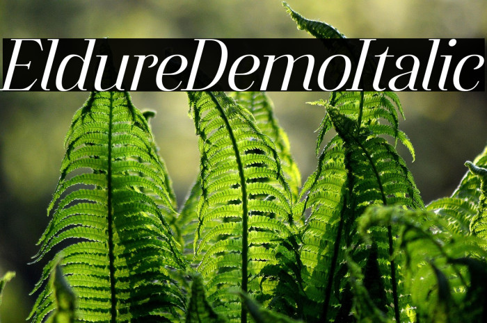 Eldure Demo Italic Example 2