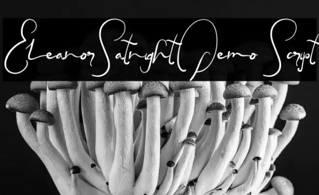 EleanorSatnightDemo Script Font examples