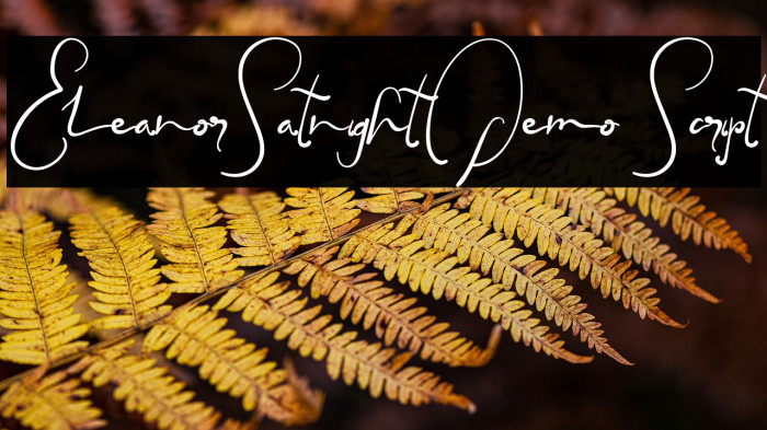 EleanorSatnightDemo Script Example 2