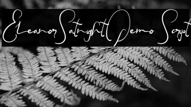 EleanorSatnightDemo Script Font examples