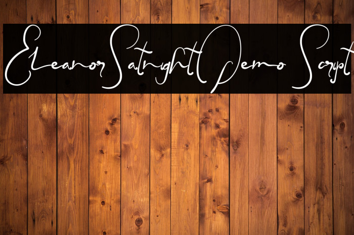 EleanorSatnightDemo Script Example 3