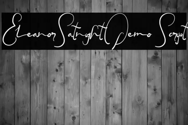 EleanorSatnightDemo Script Font examples