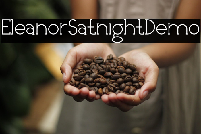 EleanorSatnightDemo Example 1