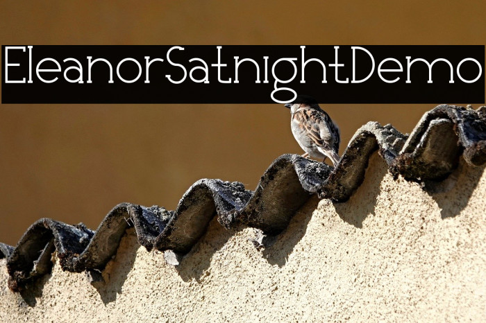 EleanorSatnightDemo Example 2