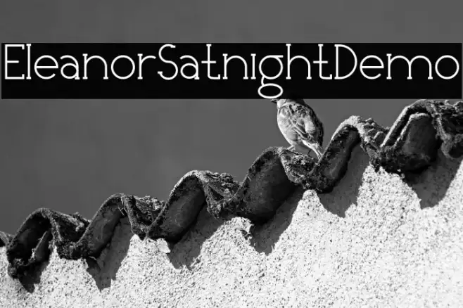 EleanorSatnightDemo Example 2