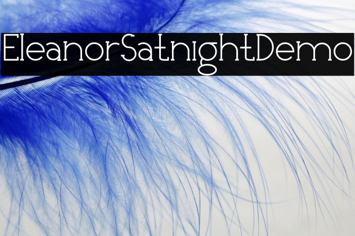 EleanorSatnightDemo Example 3