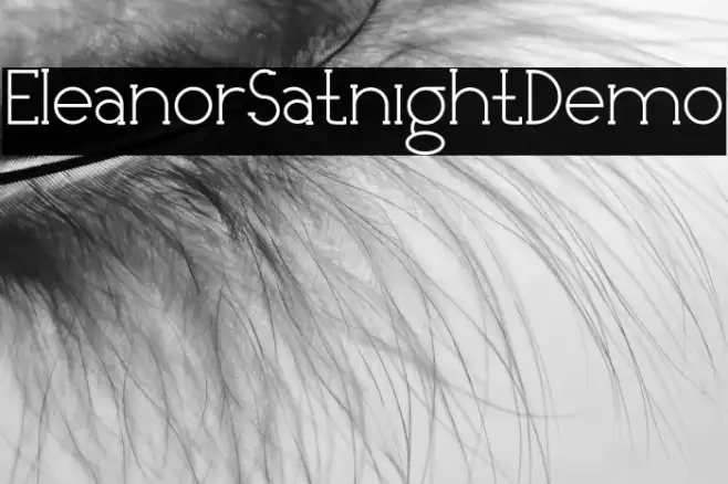 EleanorSatnightDemo Example 3