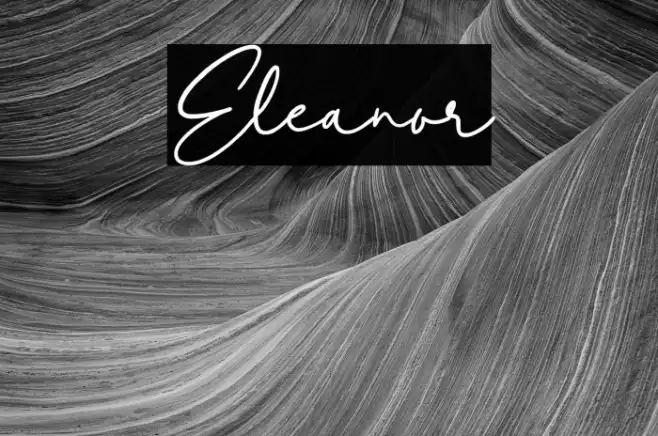 Eleanor Example 2