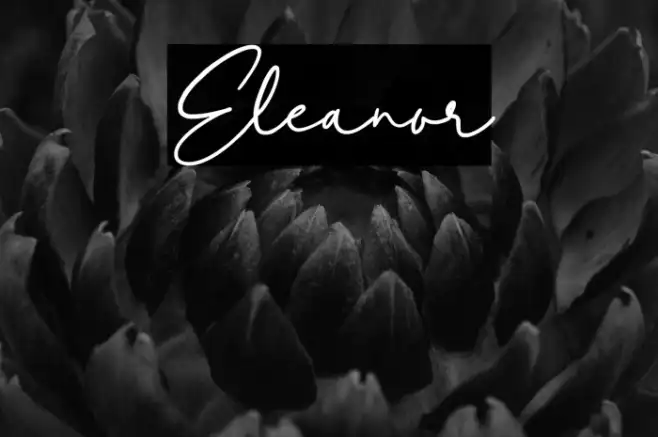 Eleanor Example 3