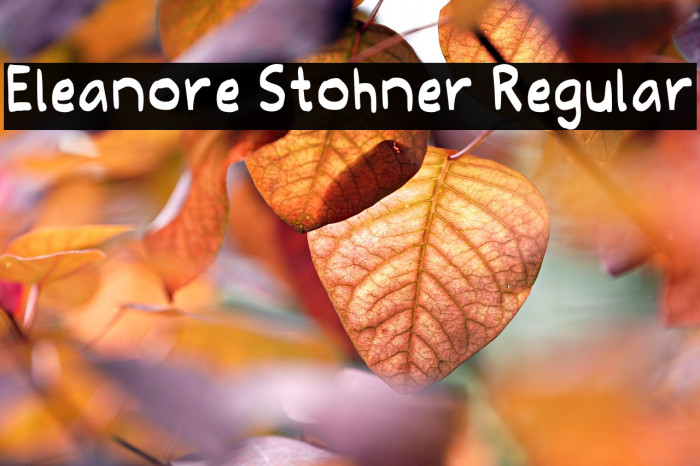 Eleanore Stohner Regular Example 1