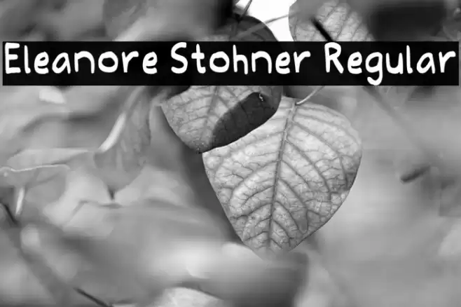 Eleanore Stohner Regular Caratteri examples