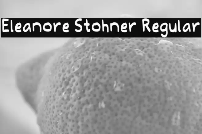 Eleanore Stohner Regular Caratteri examples