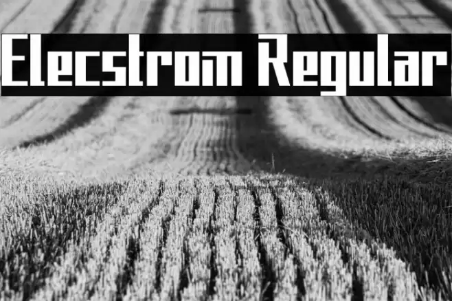 Elecstrom Regular Font examples