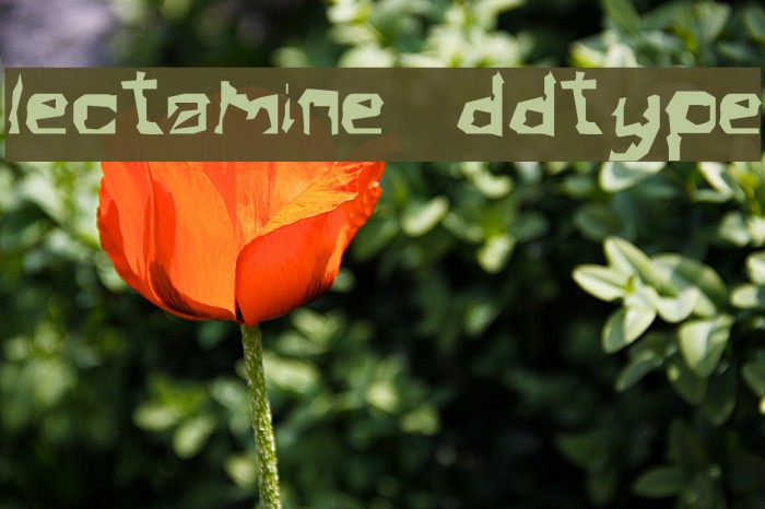 Electamine Oddtype Font examples