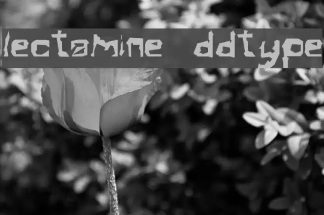 Electamine Oddtype フォント examples