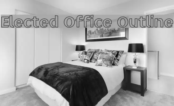 Elected Office Outline Example 1