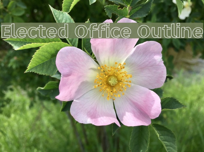 Elected Office Outline Font examples