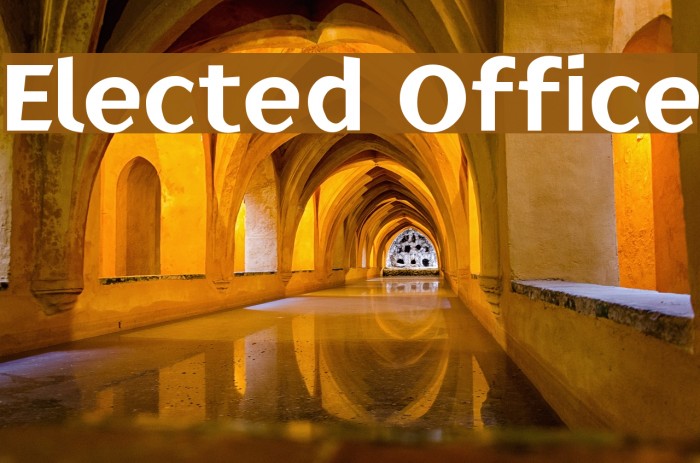 Elected Office Example 2