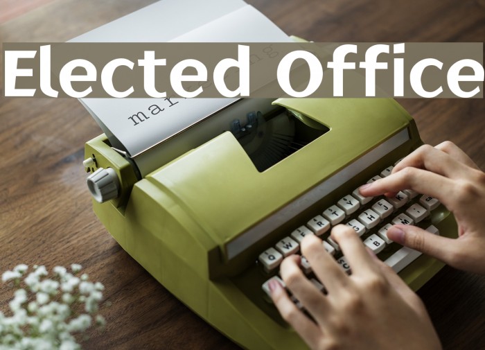 Elected Office Example 3