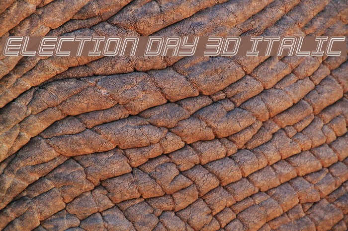 Election Day 3D Italic Font examples