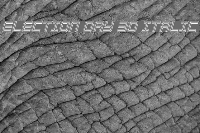 Election Day 3D Italic examples