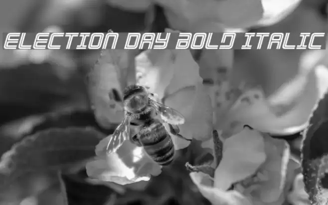 Election Day Bold Italic Font examples