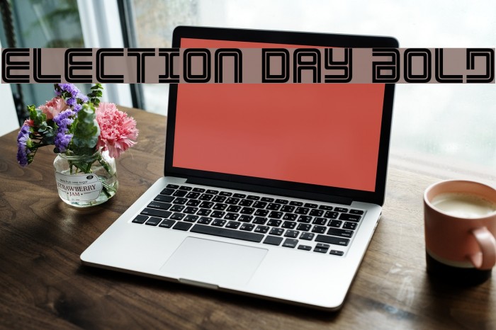 Election Day Bold Font examples