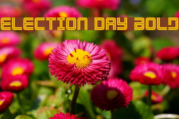 Election Day Bold Font examples