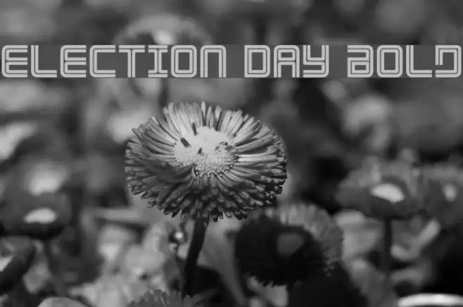 Election Day Bold Example 2