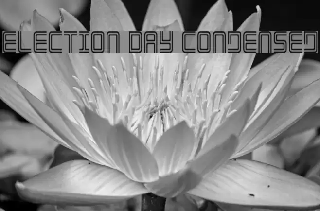 Election Day Condensed Polices examples