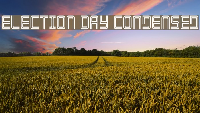 Election Day Condensed Font examples