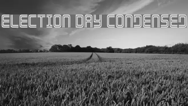 Election Day Condensed Polices examples