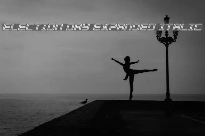 Election Day Expanded Italic フォント examples