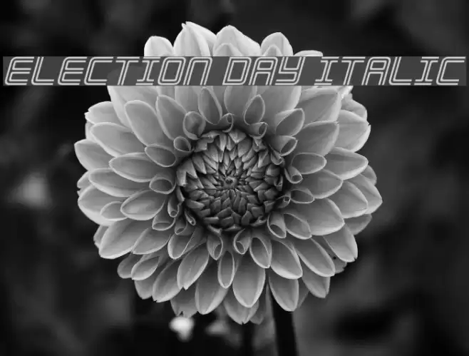 Election Day Italic フォント examples