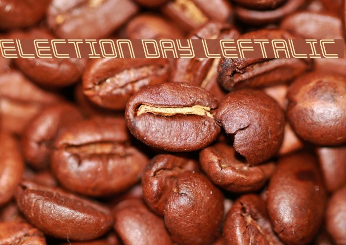 Election Day Leftalic Font examples