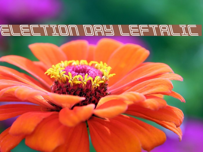 Election Day Leftalic Font examples