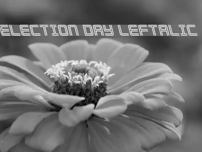 Election Day Leftalic フォント examples