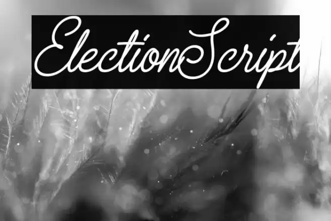ElectionScript Font examples