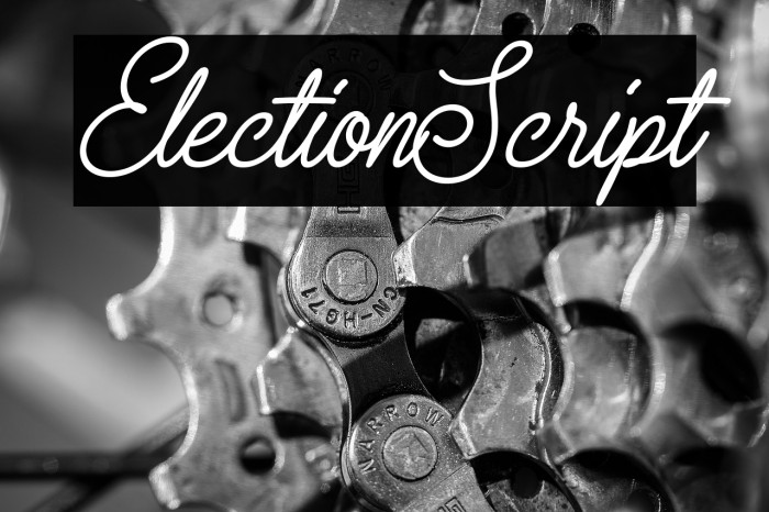 ElectionScript Example 2