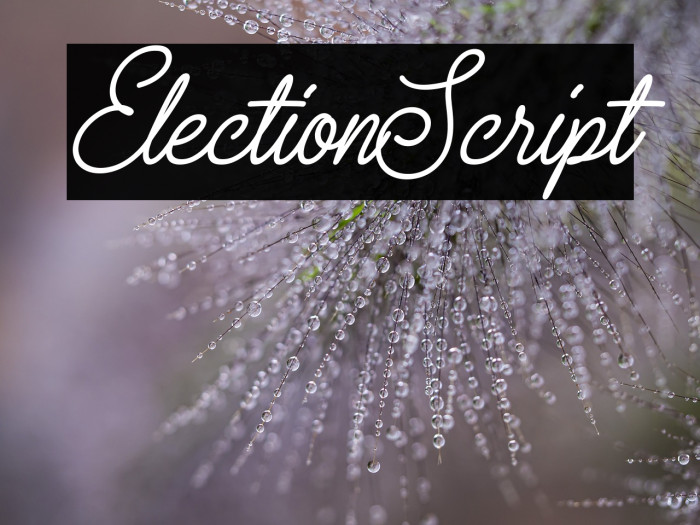 ElectionScript Example 3