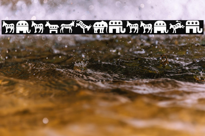 Elections Regular Example 1